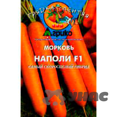 Морковь Наполи (ГЛ) Агрико