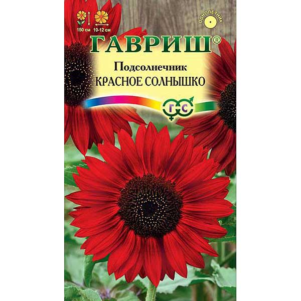Подсолнечник Красное Солнышко Гавриш Ц 