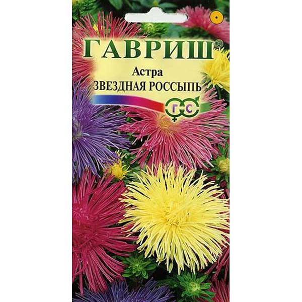 Астра Звездная Россыпь Гавриш Ц 