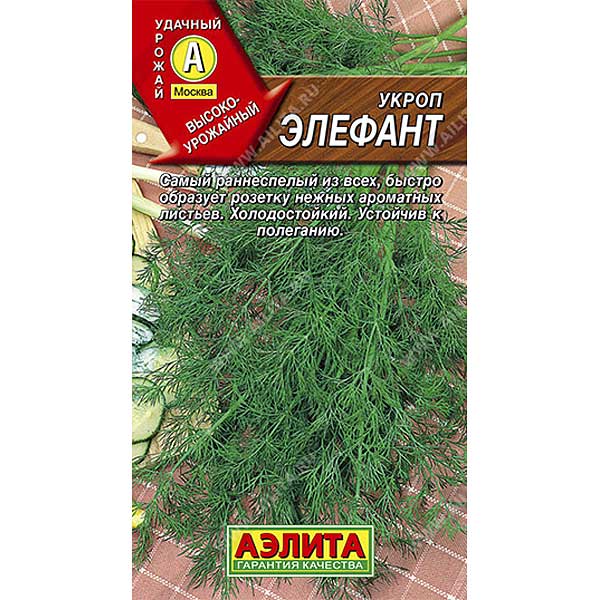 Укроп Элефант Аэлита Ц