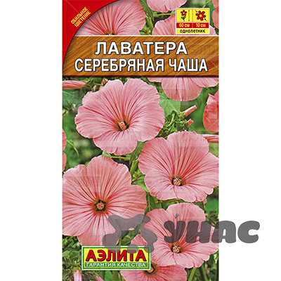 Лаватера Серебряная Чаша Аэлита Ц 