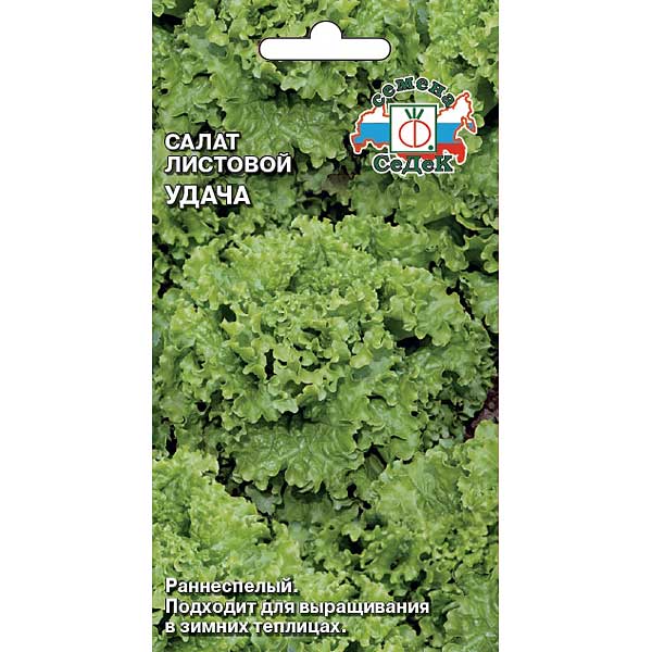 Салат Удача Седек Ц