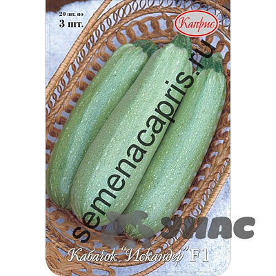 Кабачок Искандер 100шт (Нидерланды) Каприс