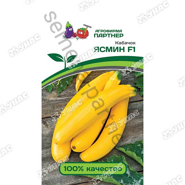 Кабачок Ясмин Партнер Ц