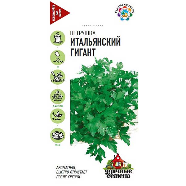 Петрушка Итальянский гигант Удачные семена Гавриш Ц
