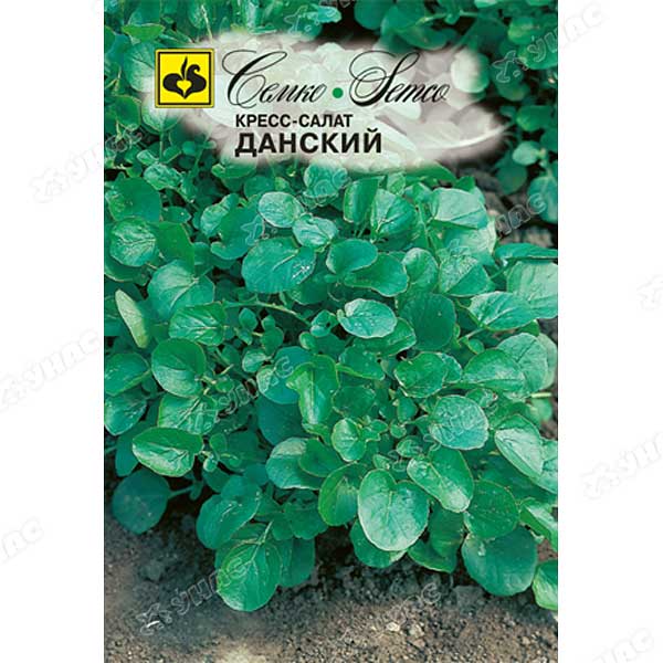 Кресс-салат Данский Семко Ц