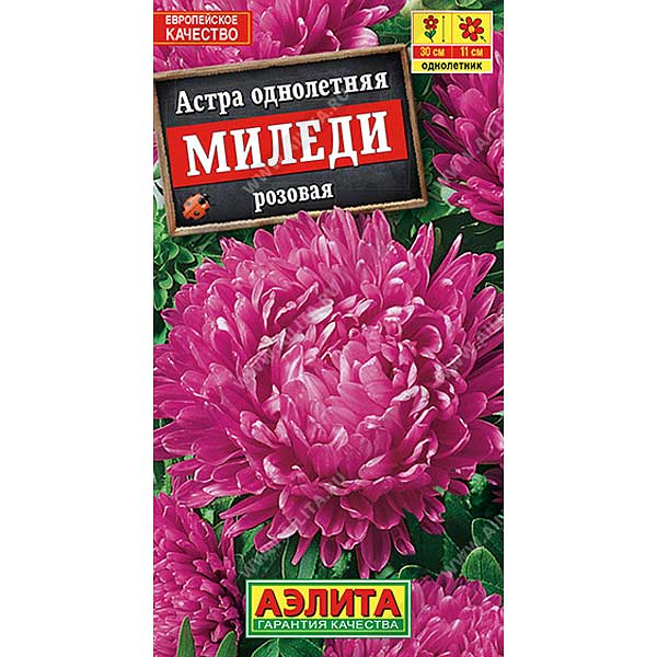 Астра Миледи розовая Аэлита Ц 