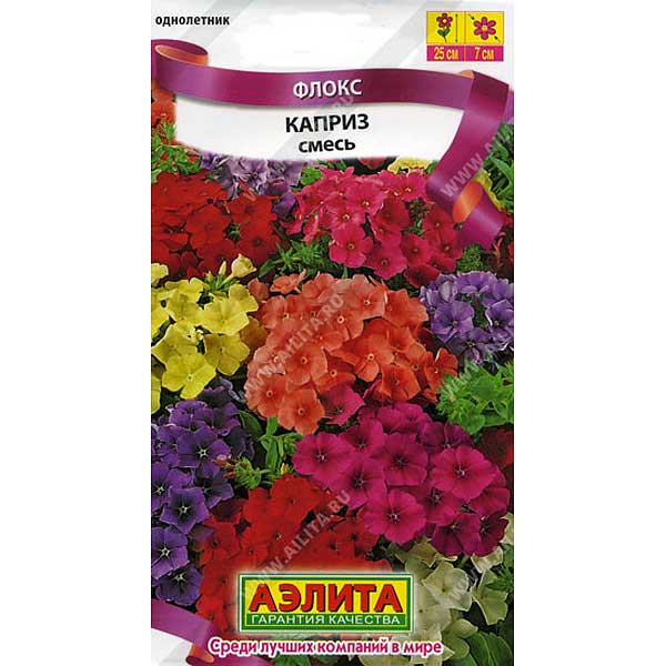 Флокс Каприз Аэлита Ц 