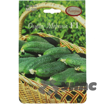 Огурец Меренга 10шт (Нидерланды) Каприс