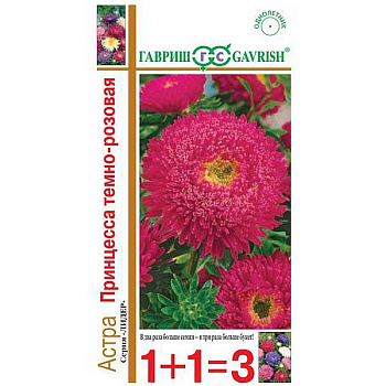 Астра Принцесса темно-розовая 1+1 Гавриш Ц 