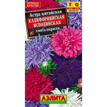 Астра Калифорнийская исполинская Аэлита Ц 