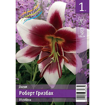 Лилия Роберт Гризбах 12/14 1 Эконом шт 