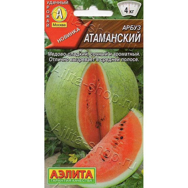 Арбуз Атаманский Аэлита