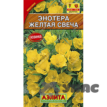 Энотера Желтая свеча Аэлита Ц 