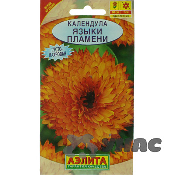 Календула Языки пламени  Аэлита Ц 