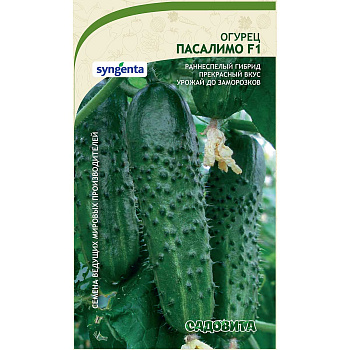 Огурец Пасалимо F1 5шт Syngenta/Садовита Ц