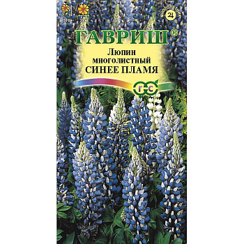 Люпин Рассела Синее пламя Гавриш Ц 