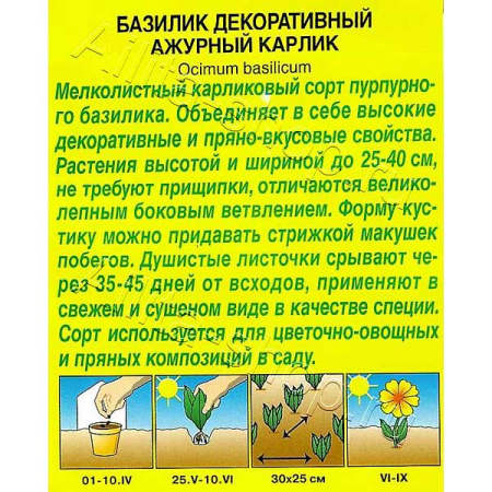 Базилик Ажурный карлик Аэлита Ц