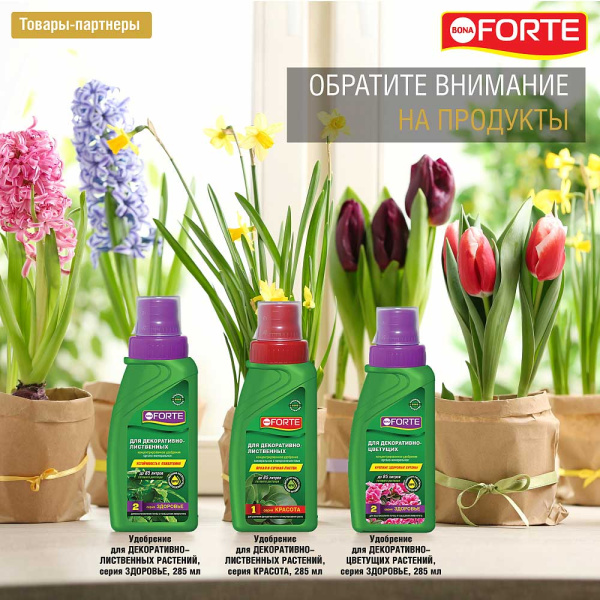 Бона Форте 10 мл КРАСОТА Для луковичных х75 