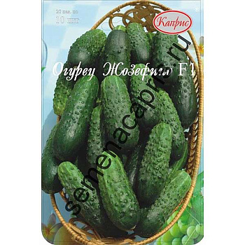 Семена Огурец Жозефино Каприс