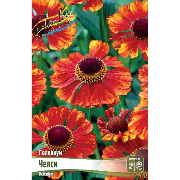 8365 Биг-Пак Гелениум Челси I 25 шт