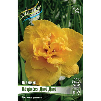 Лилейник Патрисия Джо Джо I 25 шт Биг-пак 4754
