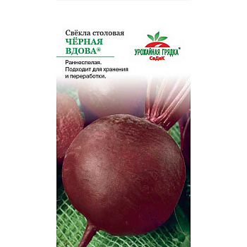 Свекла Черная Вдова Седек Ц