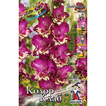Гладиолус Колор Клаб 12/14 100 шт Шоу-Бокс 3001
