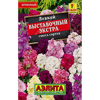 Левкой Выставочный экстра "Лидер" Аэлита Ц 