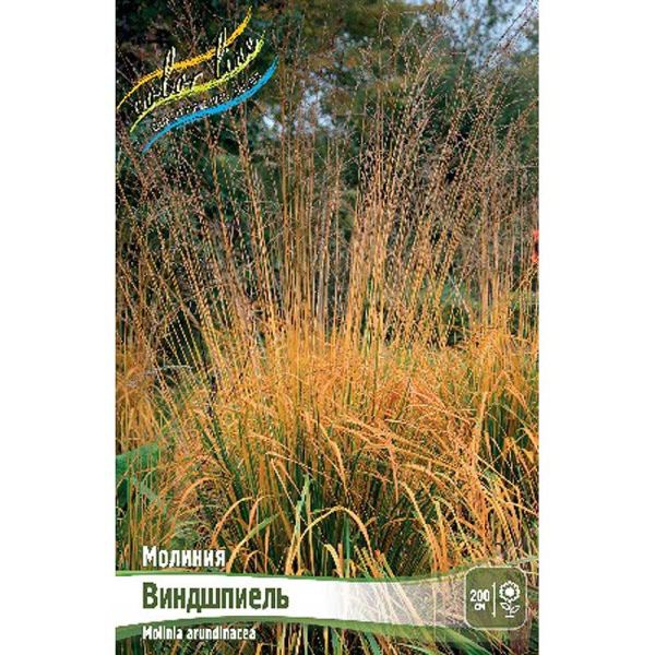 Молиния Виндшпиель 2/3 2 шт
