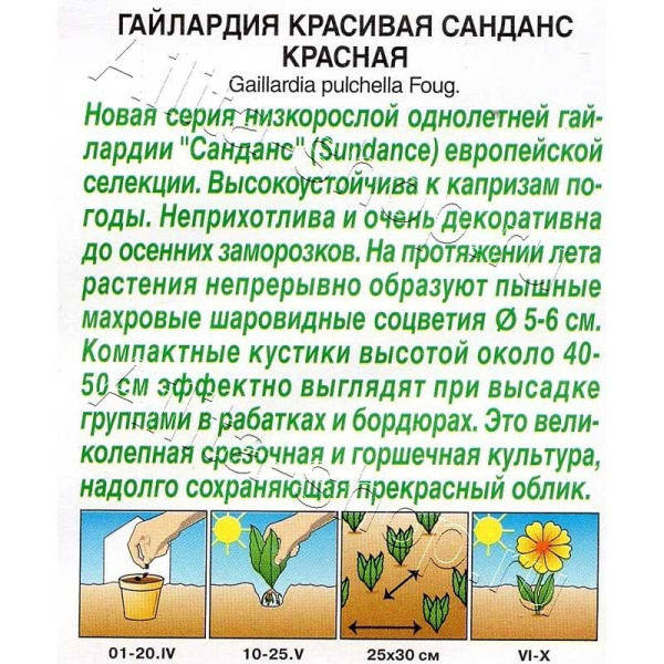 Гайлардия Санданс красная Аэлита 
