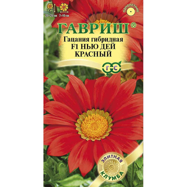 Гацания Нью Дей Красный Гавриш Ц 