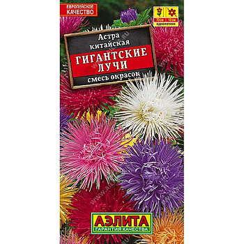 Астра Гигантские лучи смесь Аэлита Ц 