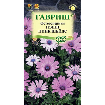 Остеоспермум Пэшн пинк шейдс Гавриш Ц 