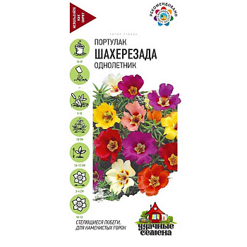 Портулак Шахерезада Удачные семена  Гавриш Ц 