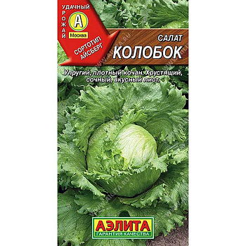 Салат Колобок кочанный Аэлита Ц