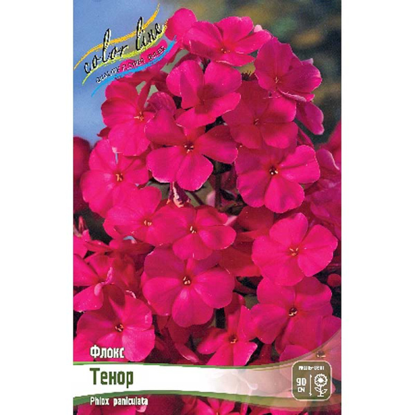 Флокс Тенор I 2 шт