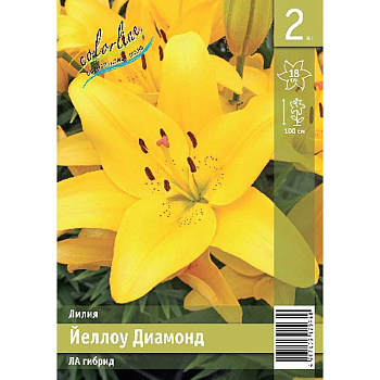 Лилия Йеллоу Диамонд 11/12 2 Эконом шт 