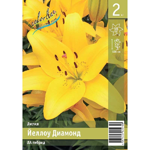 Лилия Йеллоу Диамонд 11/12 2 Эконом шт 