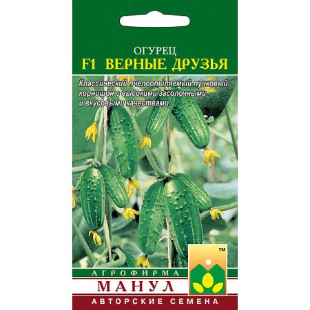 Огурец Верные друзья Манул Ц