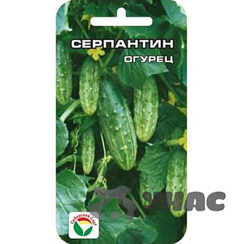 Огурец Серпантин СибCад Ц