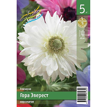 Анемона Гора Эверест 5/6 5 Эконом шт 