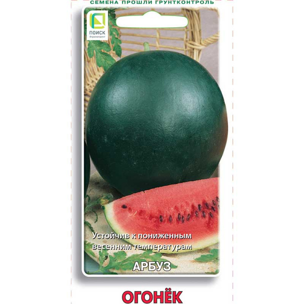 Арбуз Огонек Поиск Ц