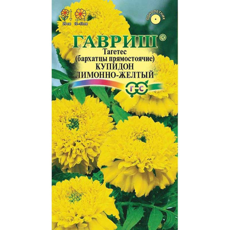 Бар Купидон лимонно-желтый Гавриш Ц 