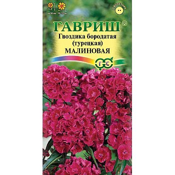 Гвоздика турецкая Малиновая Гавриш Ц 