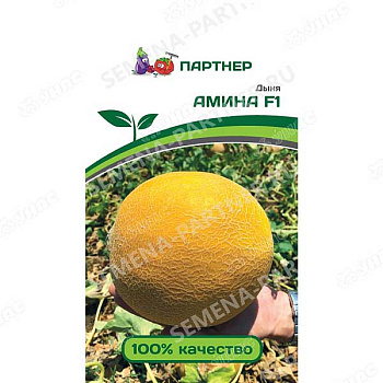 Дыня Амина Партнер Ц