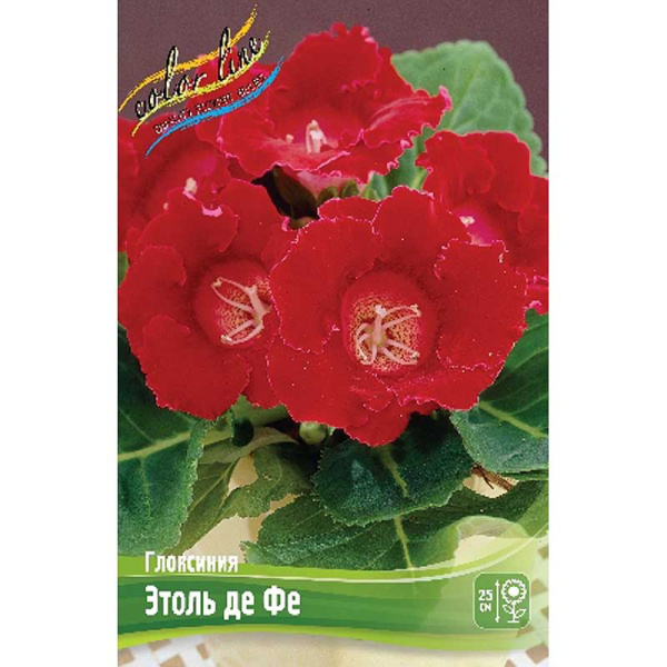 Глоксиния Этоль Де Фе 5/6 50 шт Шоу-бокс 8875