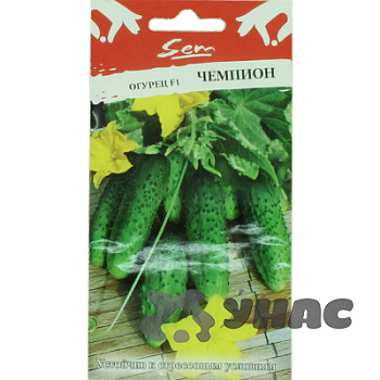 Огурец Чемпион НК Ц