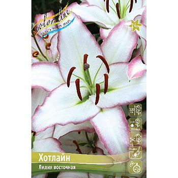 Лилия Хотлайн 12/14 5 шт 