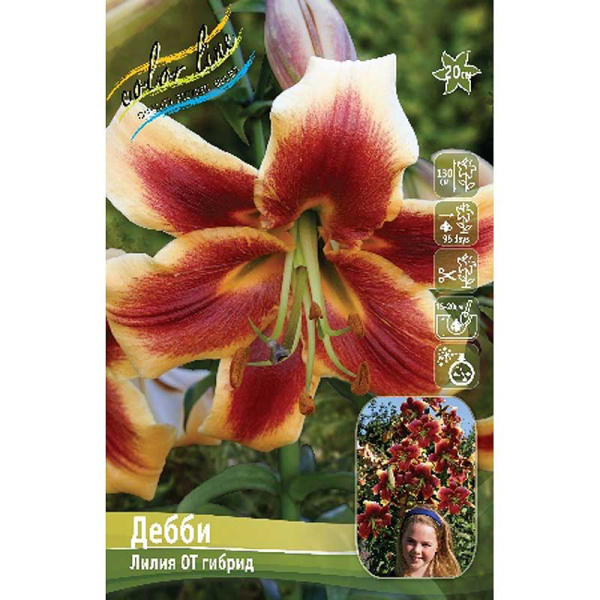 Лилия Дебби 12/14 5 шт 